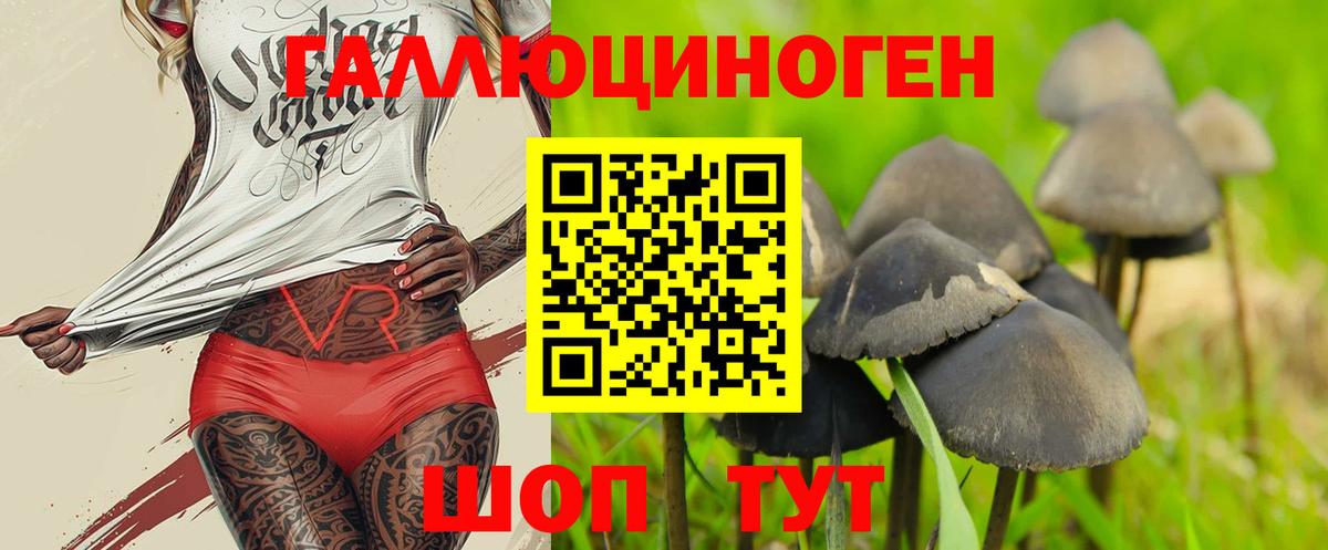 Менделеевск  наркота  Вход с VPN  Псилоцибиновые грибы прущие грибы 