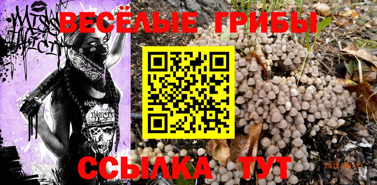 Псилоцибиновые грибы мухоморы Менделеевск